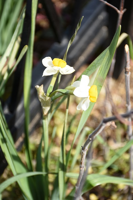 DSC_8910.JPG